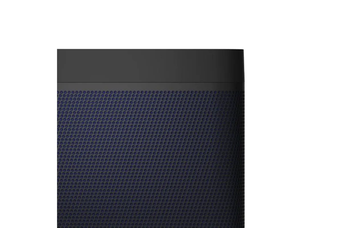 Bang & Olufsen Beolit 20 Bluetooth Speaker | Black Anthracite