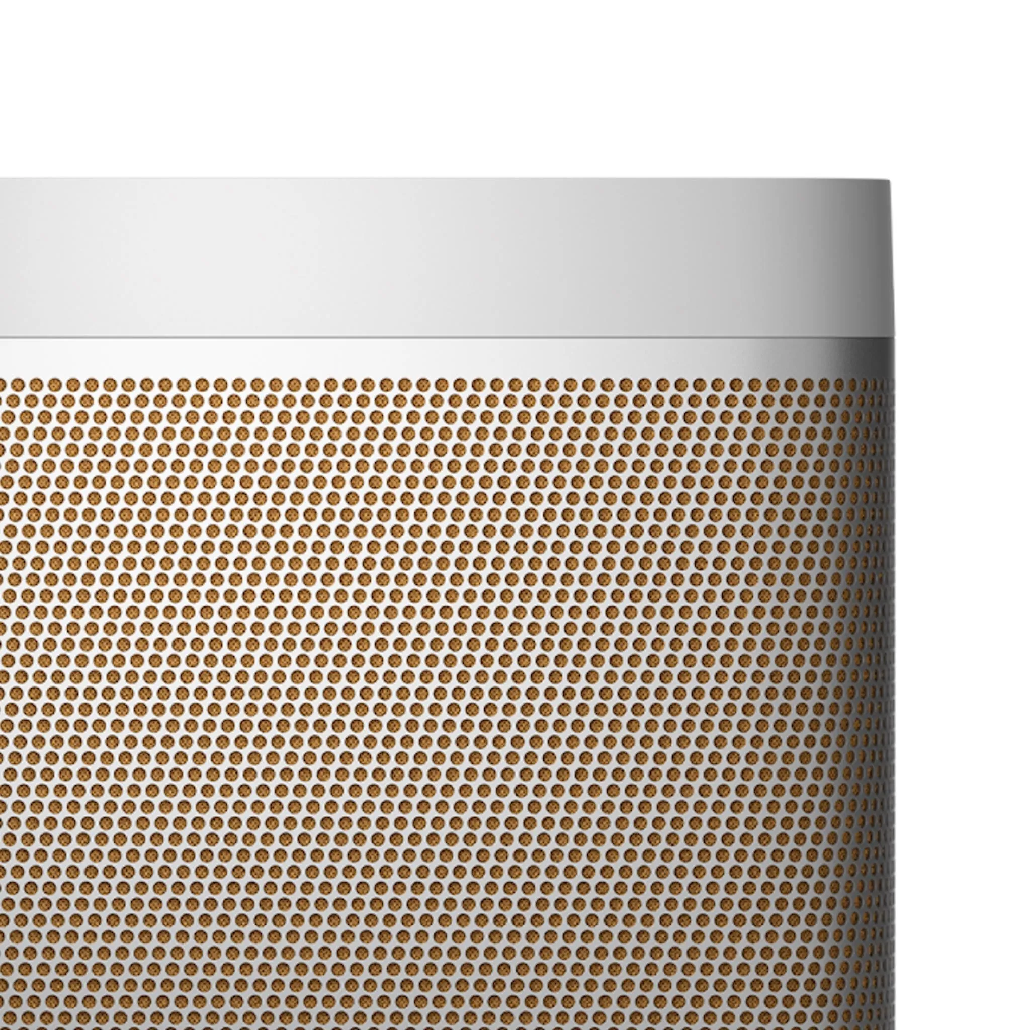 Bang & Olufsen Beolit 20 - Portable Bluetooth Speaker