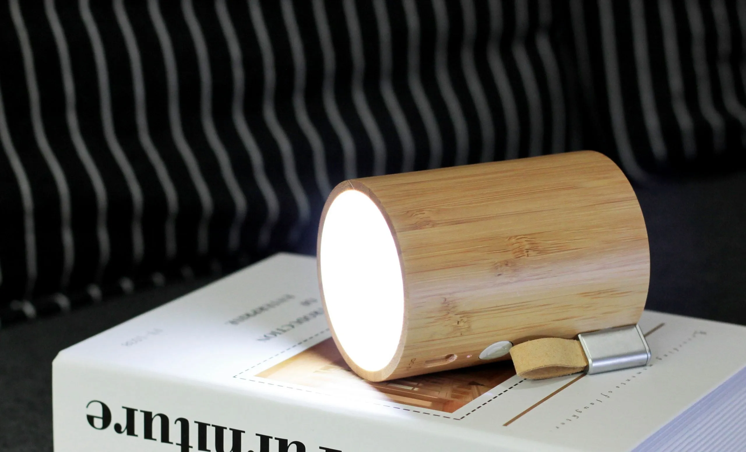 Drum Light Bluetooth Speaker in Walnut Bamboo and Beech by Gingko