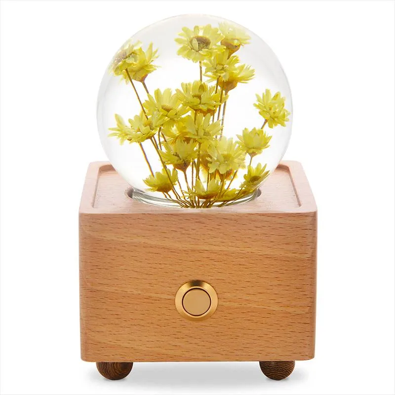 Real Preserved Flower Wireless Bluetooth Speaker, LED Night Light in Glass Dome