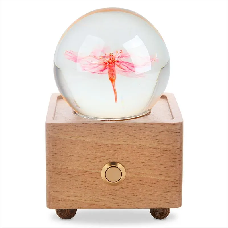 Real Preserved Flower Wireless Bluetooth Speaker, LED Night Light in Glass Dome