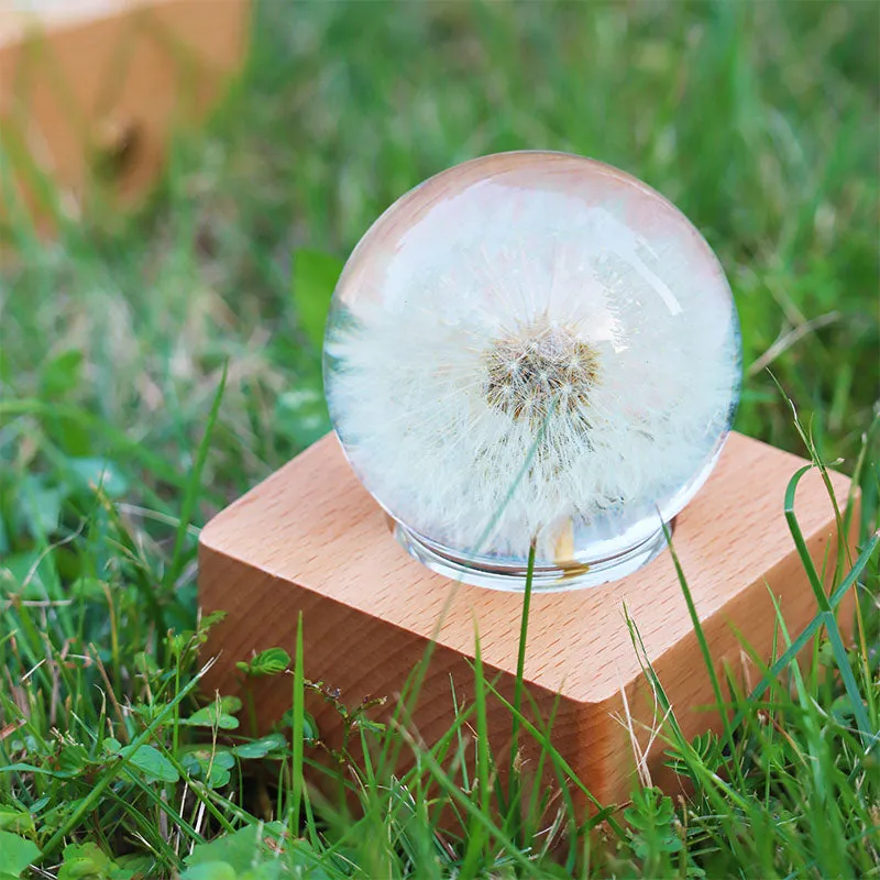 Real Preserved Flower Wireless Bluetooth Speaker, LED Night Light in Glass Dome