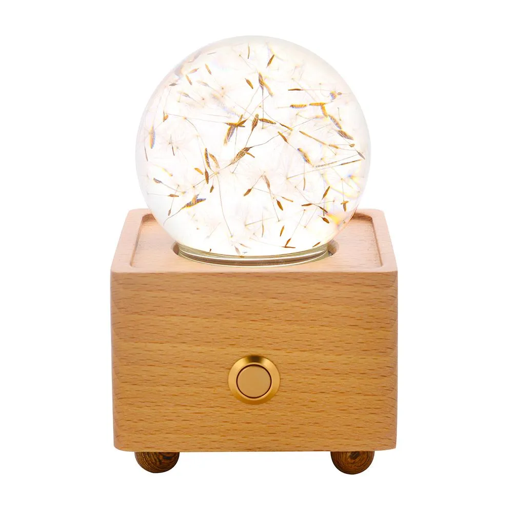 Real Preserved Flower Wireless Bluetooth Speaker, LED Night Light in Glass Dome