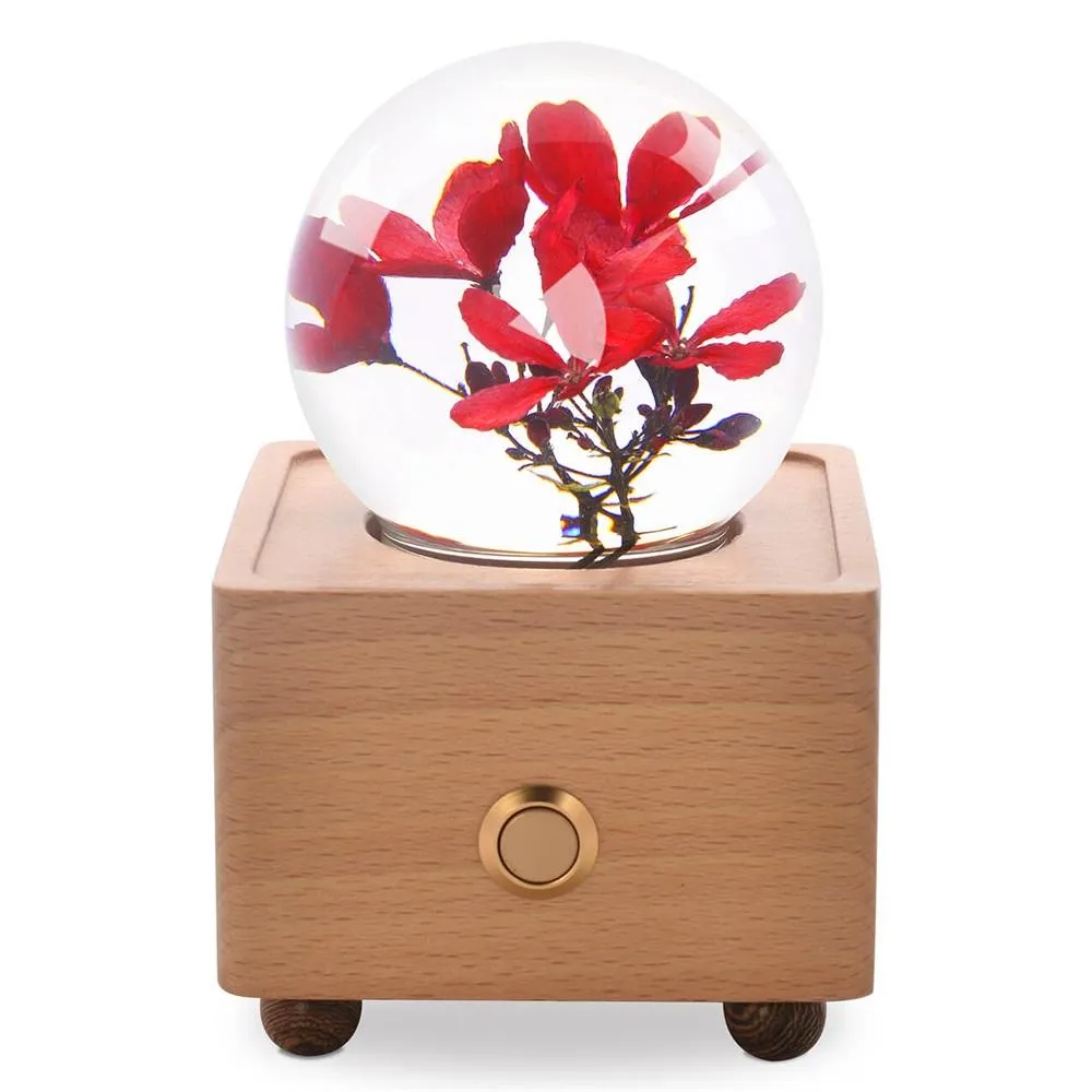 Real Preserved Flower Wireless Bluetooth Speaker, LED Night Light in Glass Dome