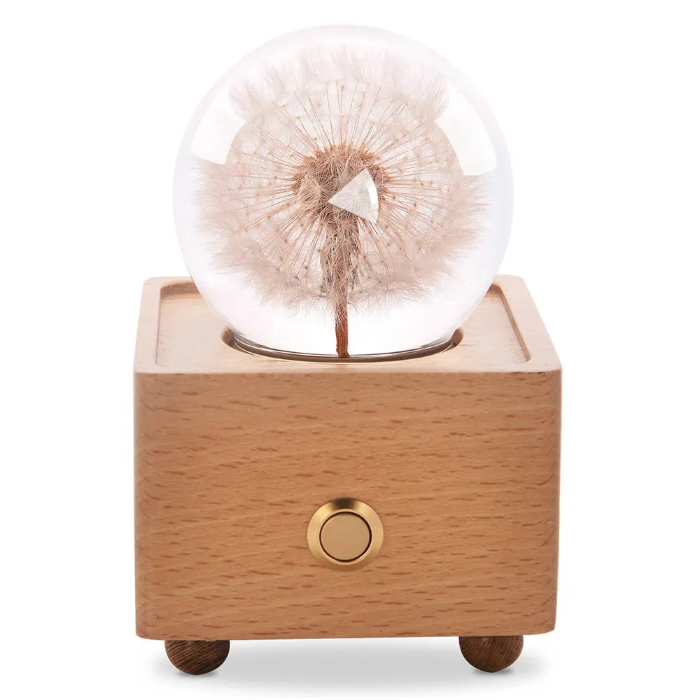 Real Preserved Flower Wireless Bluetooth Speaker, LED Night Light in Glass Dome