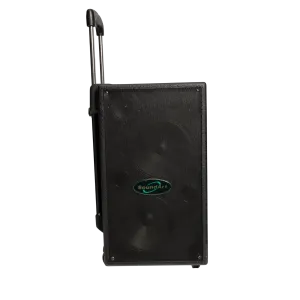 SoundArt 100 Watt Rechargeable Wireless PA System with DVD Player